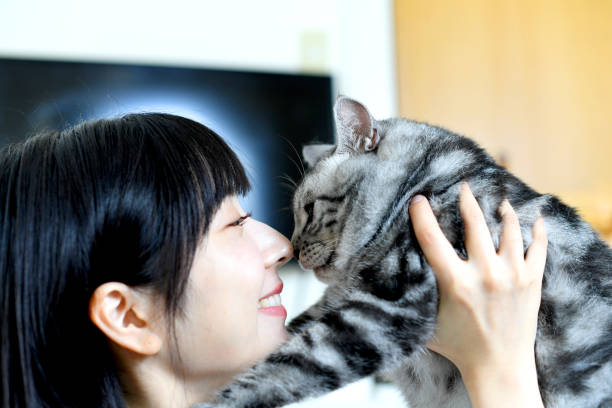 istock Beautiful young Asian woman touching a cat 2175411522