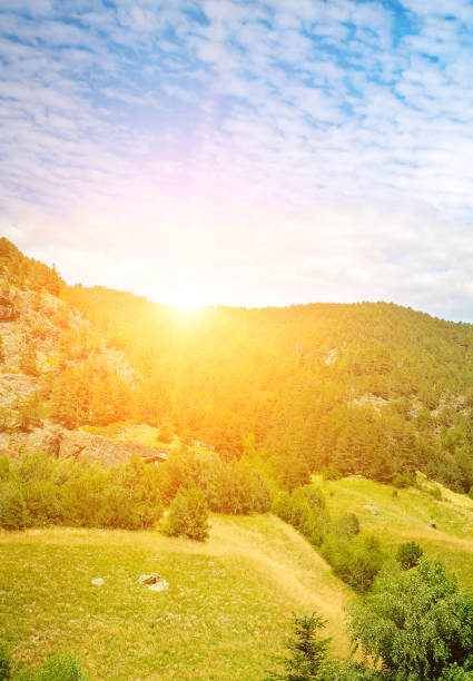 Picturesque mountain landscape with mountain ranges , forests and sunrise. Vertical photo.