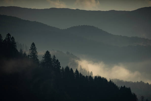 istock Forests and mountains misty landscape 2175424115