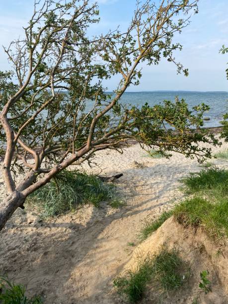 istock Beach on Island of Poel 2175435926