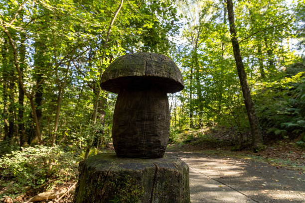 A carved wooden mushroom sculpture sits on a tree stump along a forest path, surrounded by lush greenery and sunlight filtering through the trees.