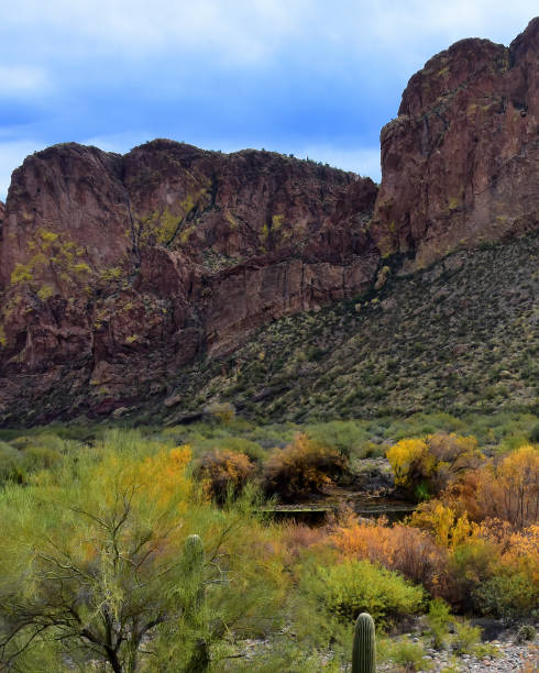 istock Salt River Recreation Area Arizona 2175439829