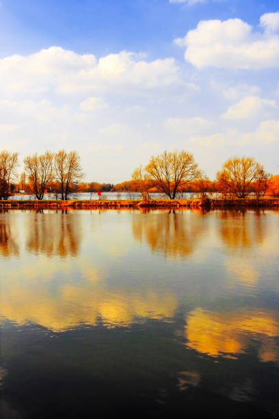 istock lake river swamp marsh wetlands 2175440939