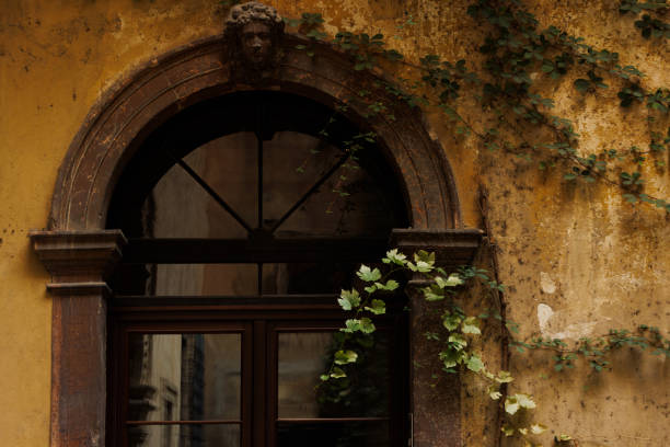 Ivy leaves growing around an ancient door, Vicenza