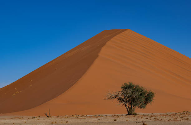istock the world's largest sand dunes in Namibia, patterns and lines in sand, sunsets shadows, 2175446725