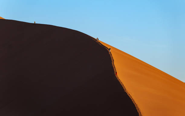 istock the world's largest sand dunes in Namibia, patterns and lines in sand, sunsets shadows, 2175447020