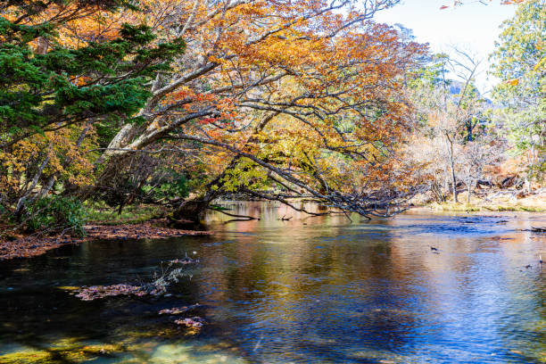 istock Autumn leaves in Nikko (Tochigi Prefecture) 2175460571