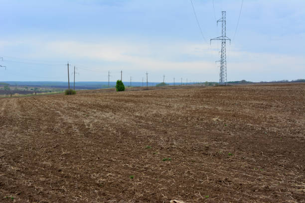 a field with power lines and a power pole in the background
