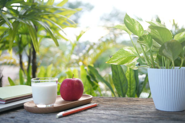 a cup of milk notebooks outdoor chilling