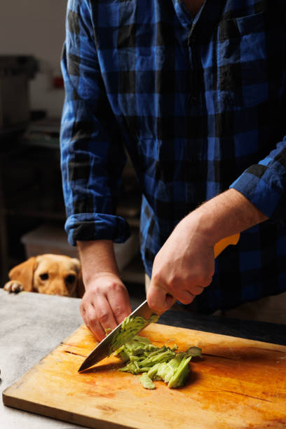 istock A man chef slicing avocado on a kitchen board at home while his dog watches attentively, creating a warm and cozy atmosphere of cooking together with pets 2175472199