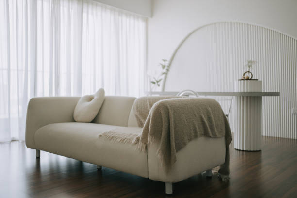 Living room with sofa. cushion, houseplant beside window