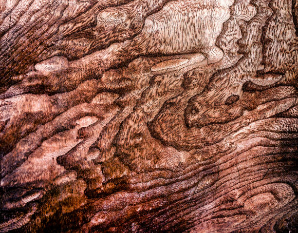 istock Beautiful wood grain. Wood background. Wood grain pattern texture background 2175489653