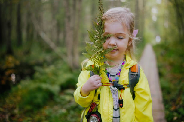 Happy preschooler girl walking in early autumn forest in the bog with backpack. Activities with children outdoors