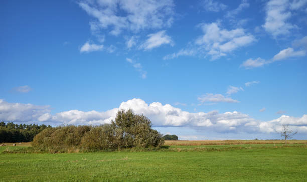 Rural landscape on a sunny day, Poland.