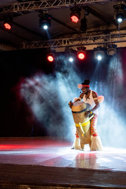 istock An African performer of authentic African rhythms performs on stage. 2175506878