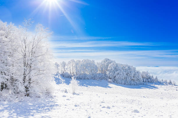 Snow Covered Mountain Landscape with Sunlight and white Trees
