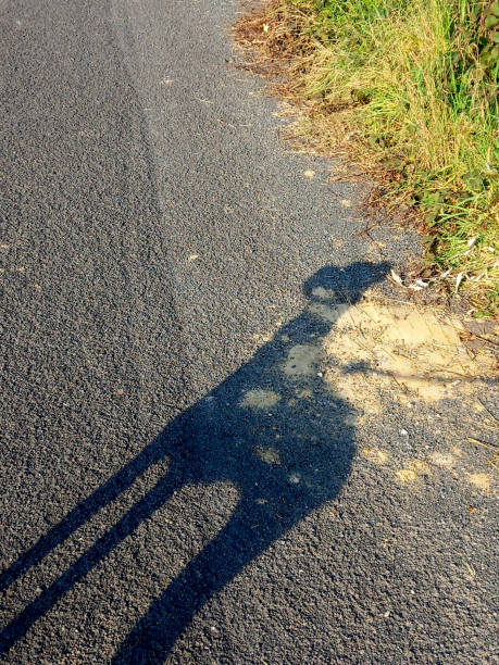 shadow of a dog on the asphalt reflected by the sun's rays