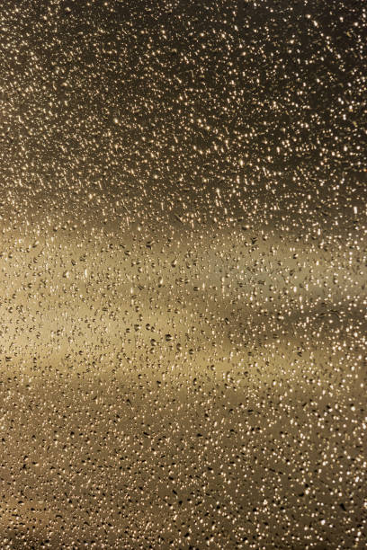 The window glass is covered with very small, fine raindrops