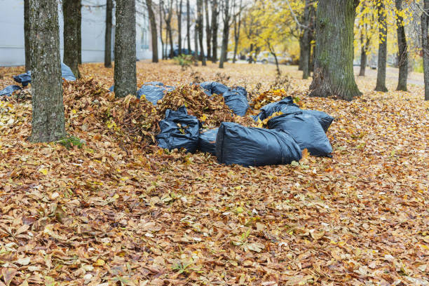 istock Black plastic garbage bags among fallen leaves 2175511910