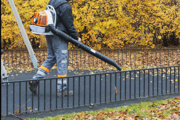 istock Blowing backpack with a worker in a city park blowing leaves 2175511925