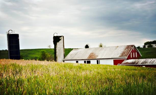 istock Harrisonburg Farm Life 2175512606