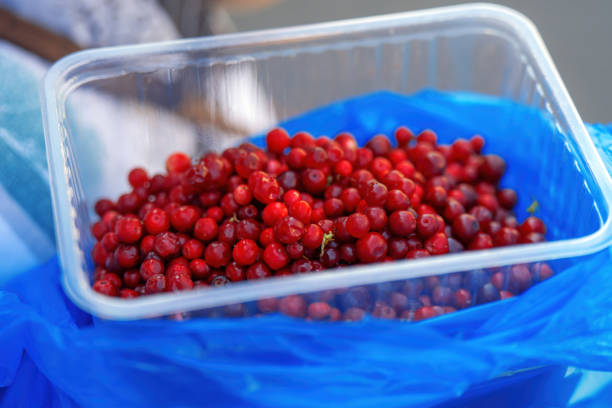 vibrant red cranberry nestled in a clear container, symbolizing nature's bounty. Its glossy surface reflects light, capturing the essence of freshness and health
