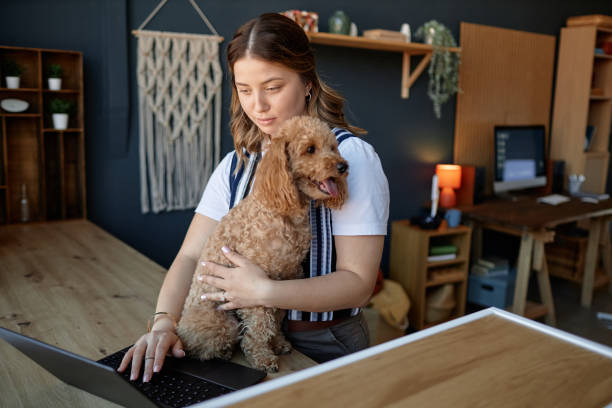 istock Working from Home Holding Pet Dog in Office Space 2175516457