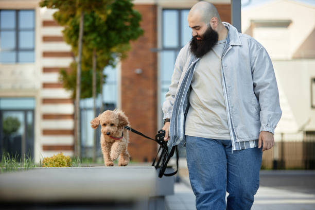 istock Man Walking Dog Alongside Modern City Architecture 2175516459