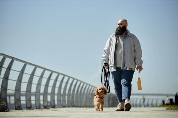 istock Walking Small Dog on Park Pathway on Sunny Day 2175516468