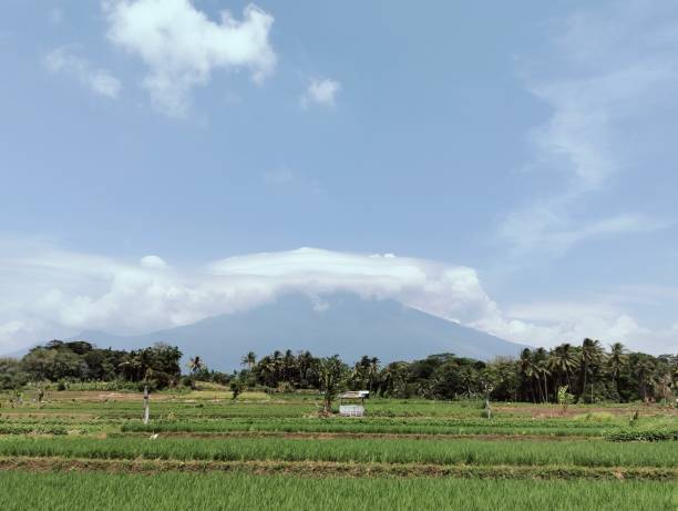 istock Views of mountains and rice fields 2175517891