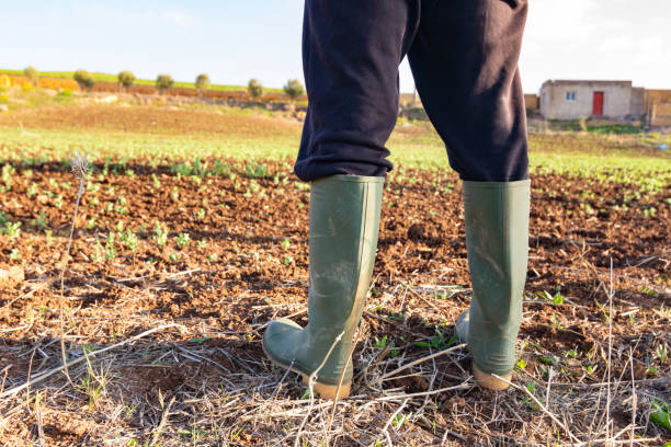 istock low angle view of a Farmer with green rubber boots 2175518260