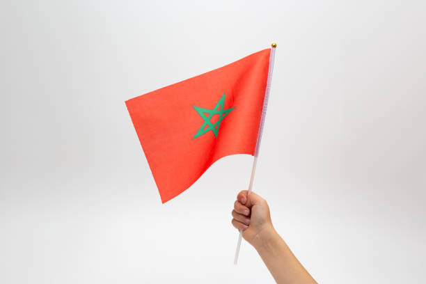 little boy hand holding a Moroccan Flag against white background