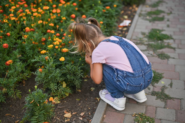 istock A little girl sniffs flowers on a walk 2175523491