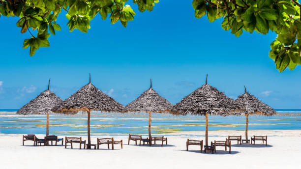 istock 5 empty parasols on a tropical beach, under a bright blue sky, Zanzibar, Tanzania 2175524193