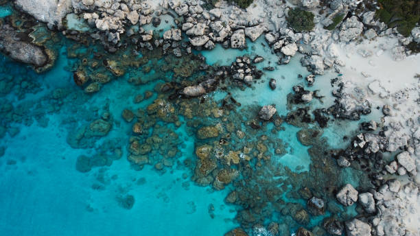 istock Above drone view on sea coast rocky beach 2175525392