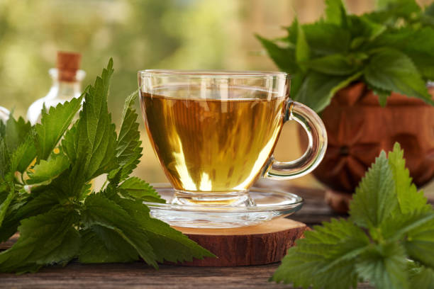 istock Nettle tea in a glass cup in spring. Herbal medicine. 2175527370