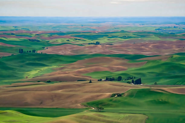 Rolling Palouse farmland.