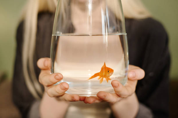 istock Unrecognizable Girl Holding Aquarium With Goldfish 2175529389