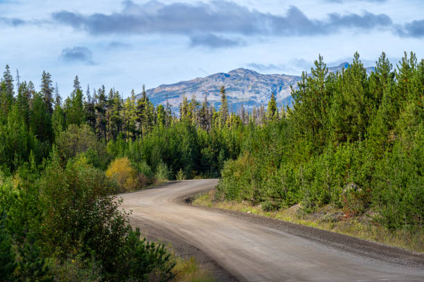 istock The dirt road before Heckman Pass, Bella Coola, Chilcotins, BC Canada 2175537078