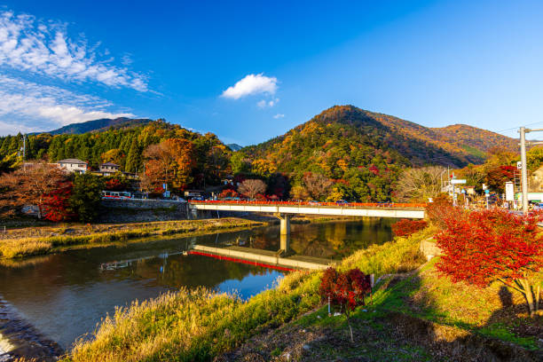 istock Autumn leaves , Shiga Prefecture 2175539005