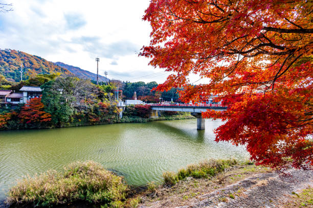 istock Autumn leaves , Shiga Prefecture 2175539119