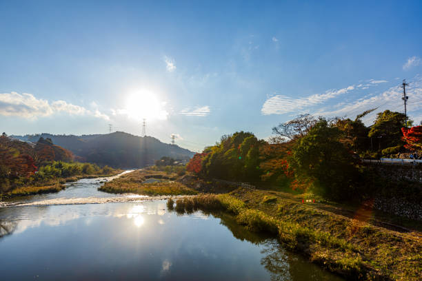 istock Autumn leaves , Shiga Prefecture 2175539243