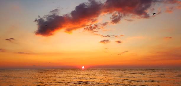 istock Sunset on Indian Rocks Beach, Florida USA September 2024 2175540593