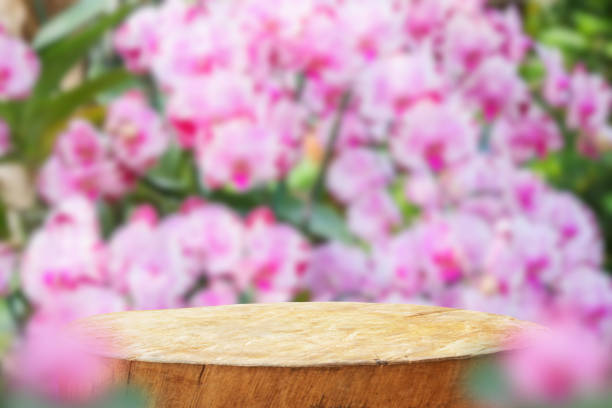 istock Empty old tree stump table top with blur orchid garden background for product display 2175540806