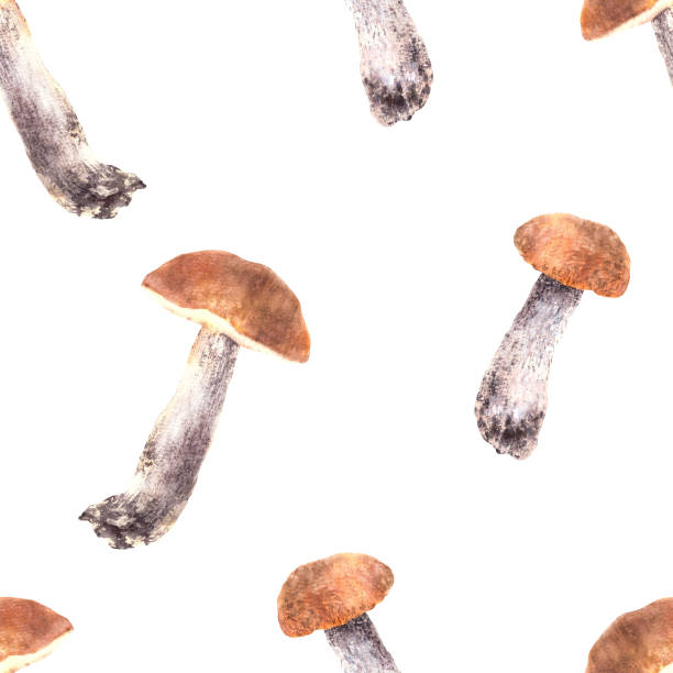 istock Boletus with orange cap seamless pattern Mushrooms, forest fungi Watercolor hand drawn. illustration 2175542050