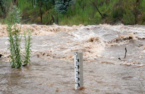 istock River in flood with muddy water hurtling down the river eroding the riverbanks meter stick flood level indicator showing water depth 2175543334