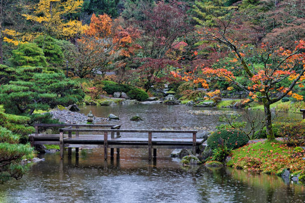 Chinese Garden