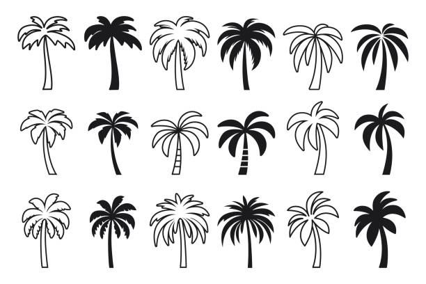 Vector Monochrome Hand-Drawn Palm Tree Icon Set. Single Color Palm Illustrations for Cutting, Tattoo Designs. Minimalist Palm Art, Design Elements. Palm Tree Clipart, Vector Illustration Vector Monochrome Hand-Drawn Palm Tree Icon Set. Single Color Palm Illustrations for Cutting, Tattoo Designs. Minimalist Palm Art, Design Elements. Palm Tree Clipart, Vector Illustration. palm-tree stock illustrations