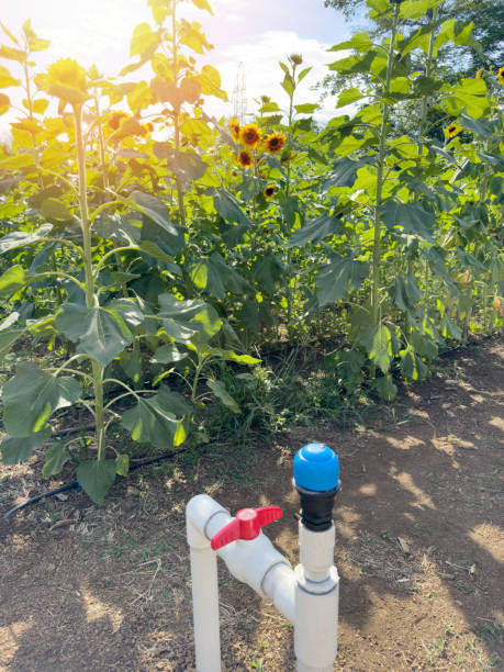 istock Irrigation water system for farm field 2175557129