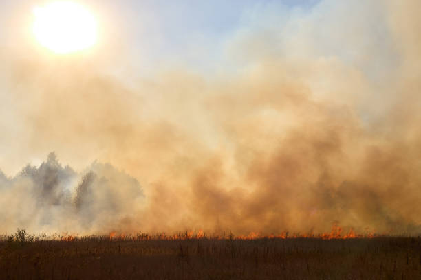 Wildfire spreading across dry field with flames rapidly burning grass and sun shining through smoke dangerous and destructive scene in countryside